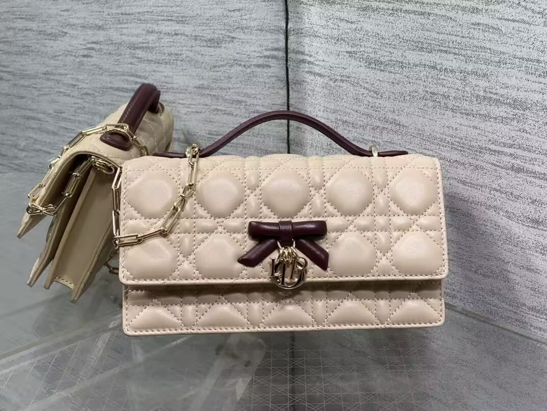 my D*or mini bag 21x11.5x4.5cm