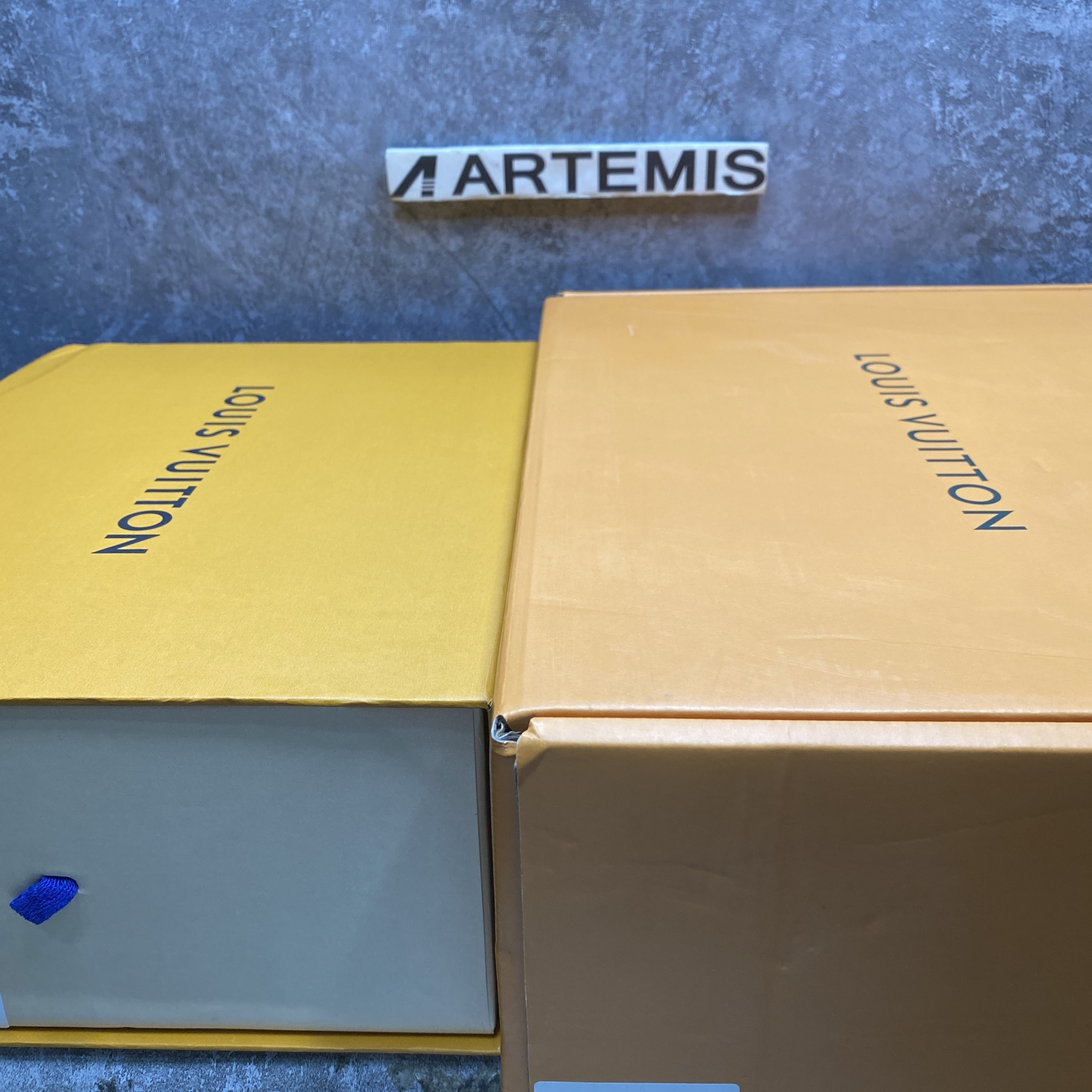 LV Skate Sneaker in Beige