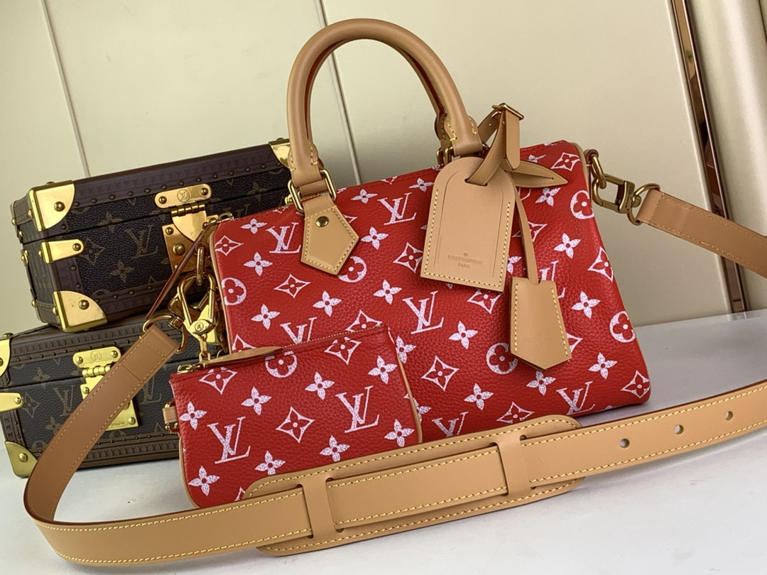 LV SPEEDY BANDOULIÈRE25 M24425