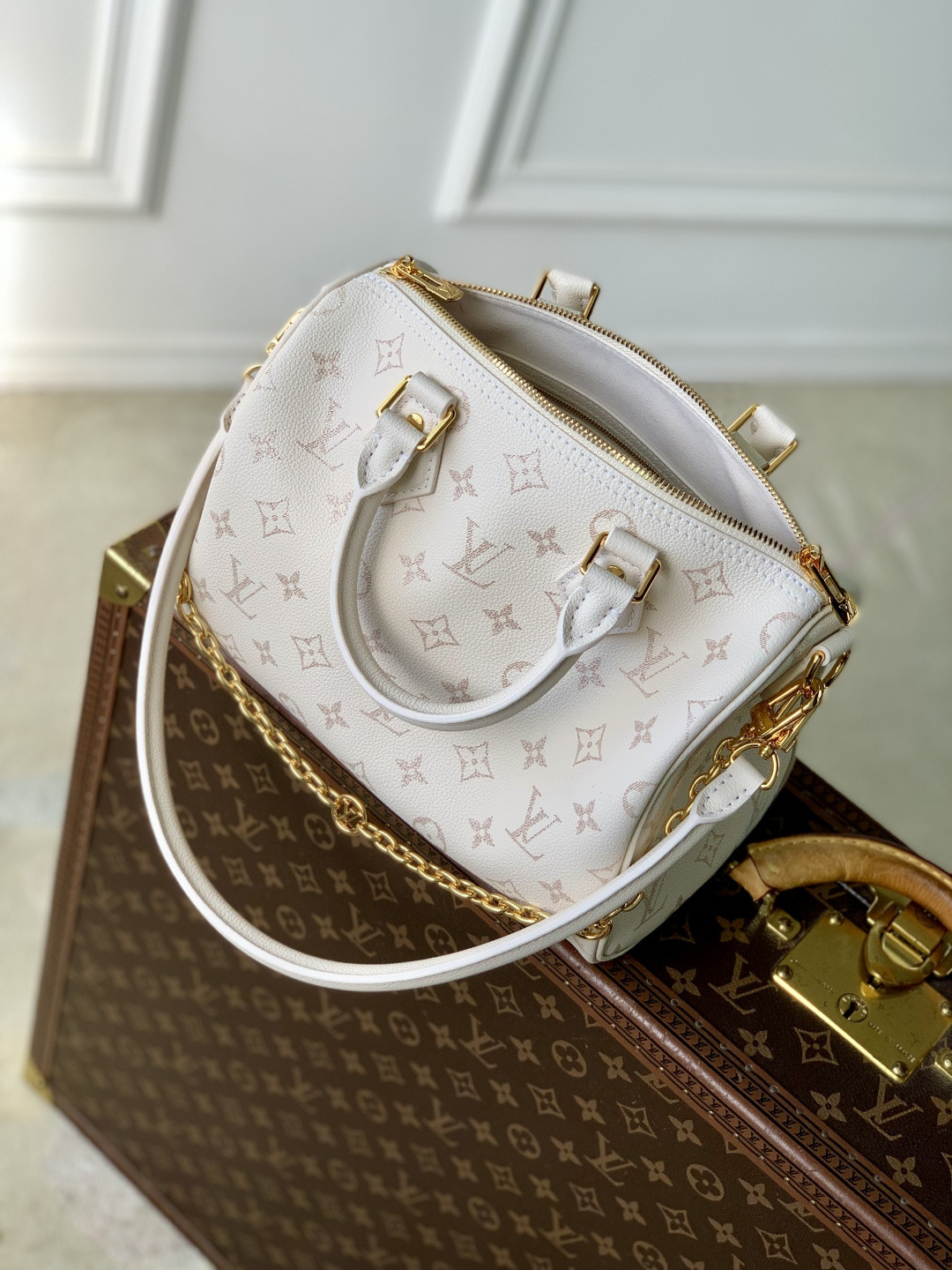 LV SPEEDY BANDOULIÈRE 25 Handbag M26690 18x13x25cm