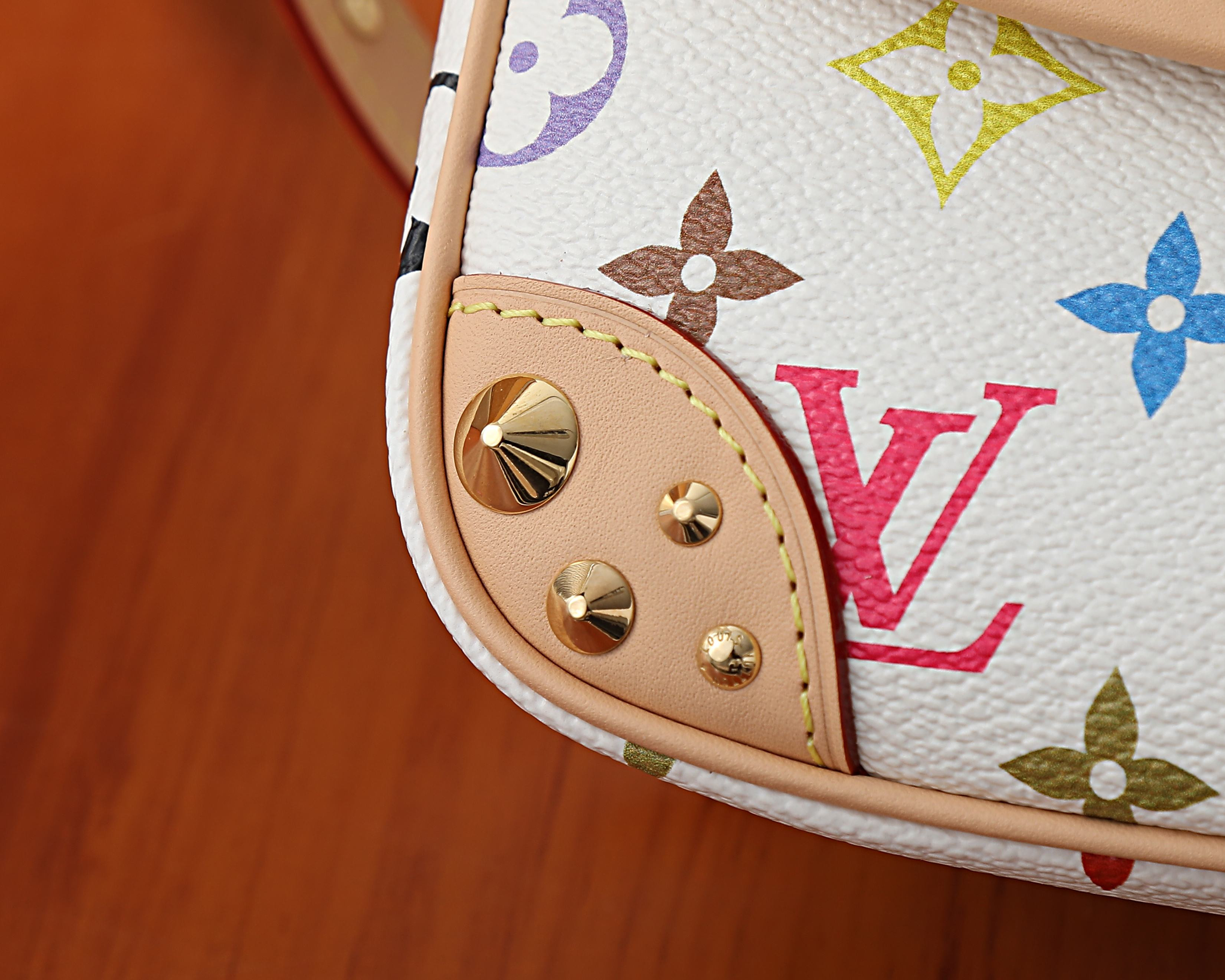 LV x TM Diane PM M27866 24x15x9cm